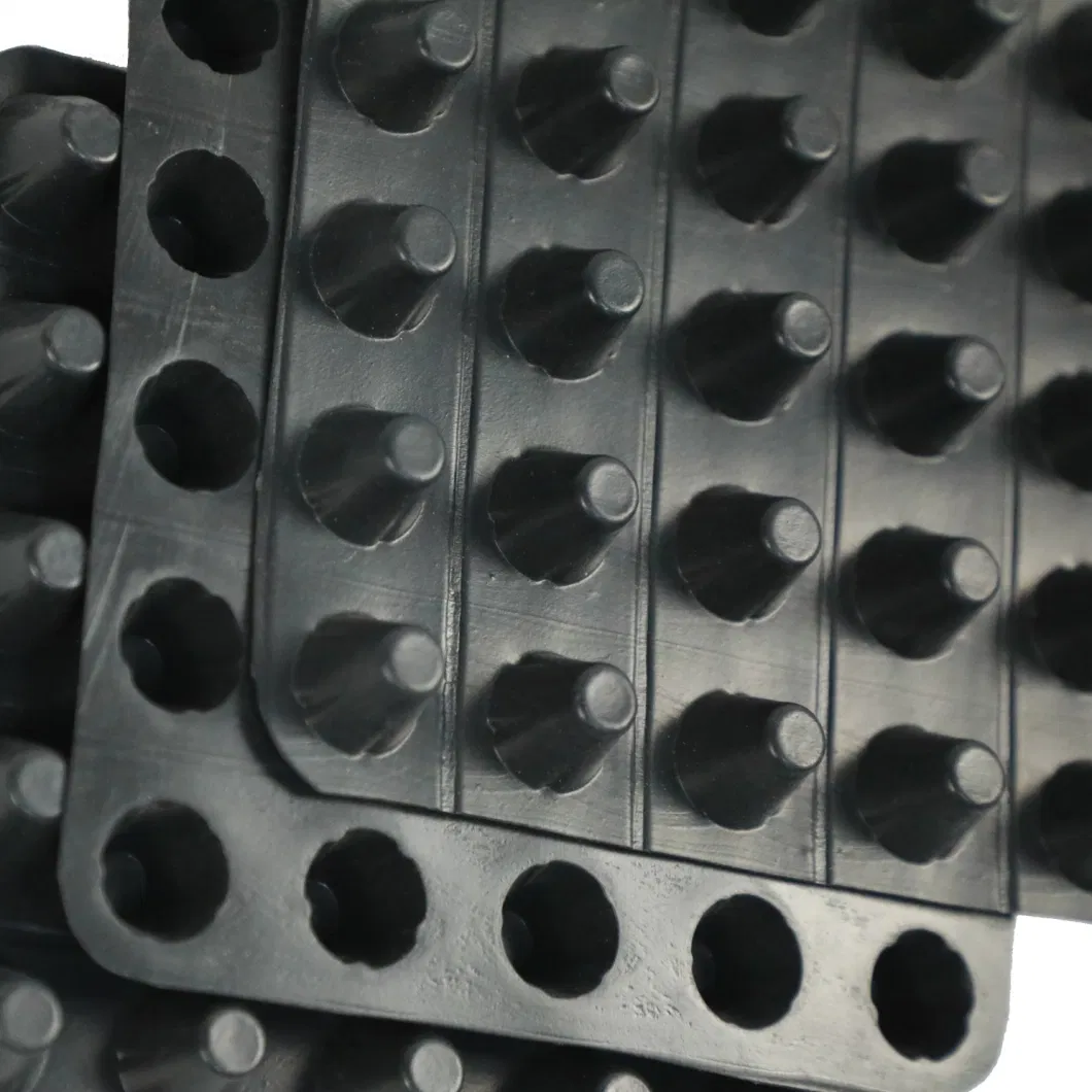 পিভিসি ছিদ্রযুক্ত ডিম্পল ড্রেনেজ বোর্ড গ্রীনিং প্রকল্প 5