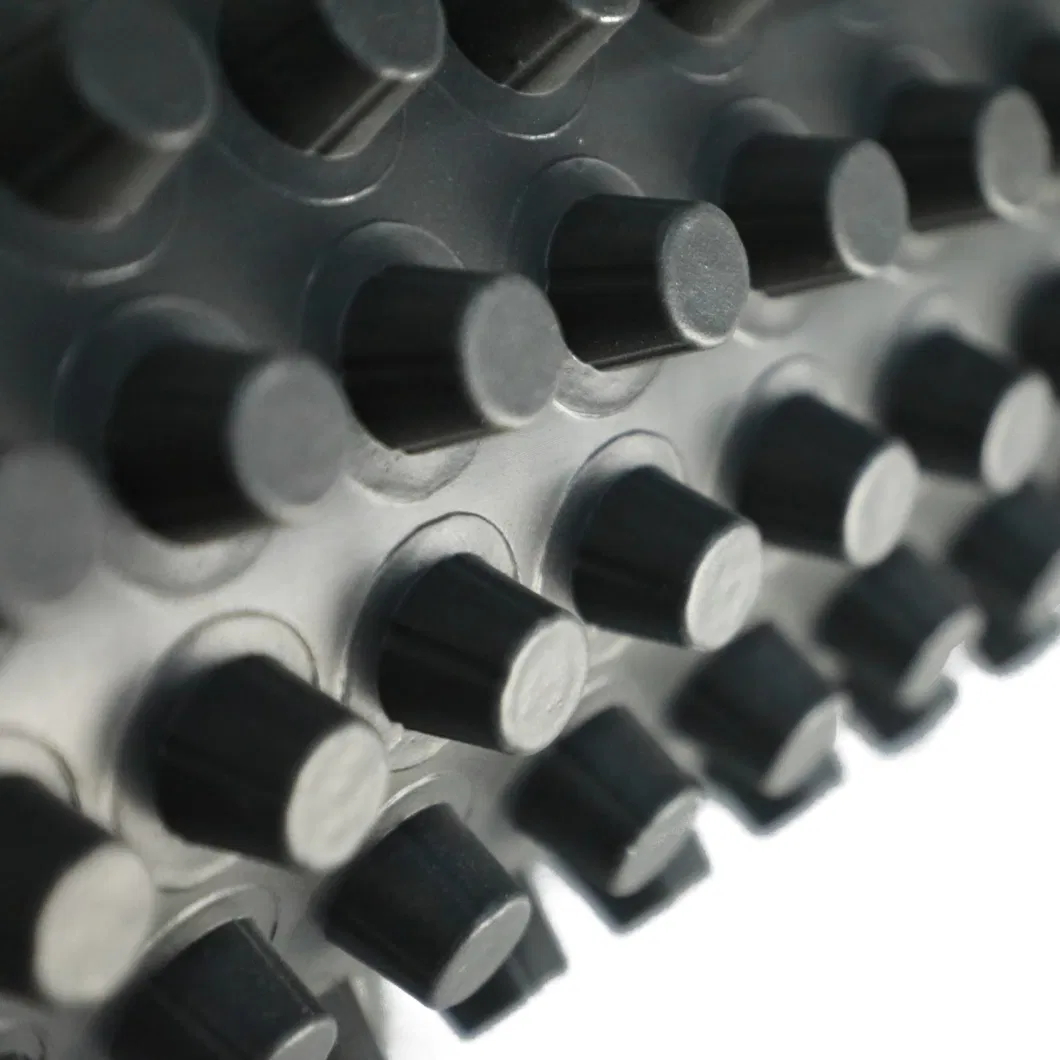 পিভিসি ছিদ্রযুক্ত ডিম্পল ড্রেনেজ বোর্ড গ্রীনিং প্রকল্প 8