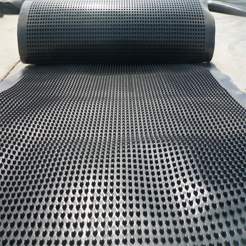 পিভিসি ছিদ্রযুক্ত ডিম্পল ড্রেনেজ বোর্ড গ্রীনিং প্রকল্প 10