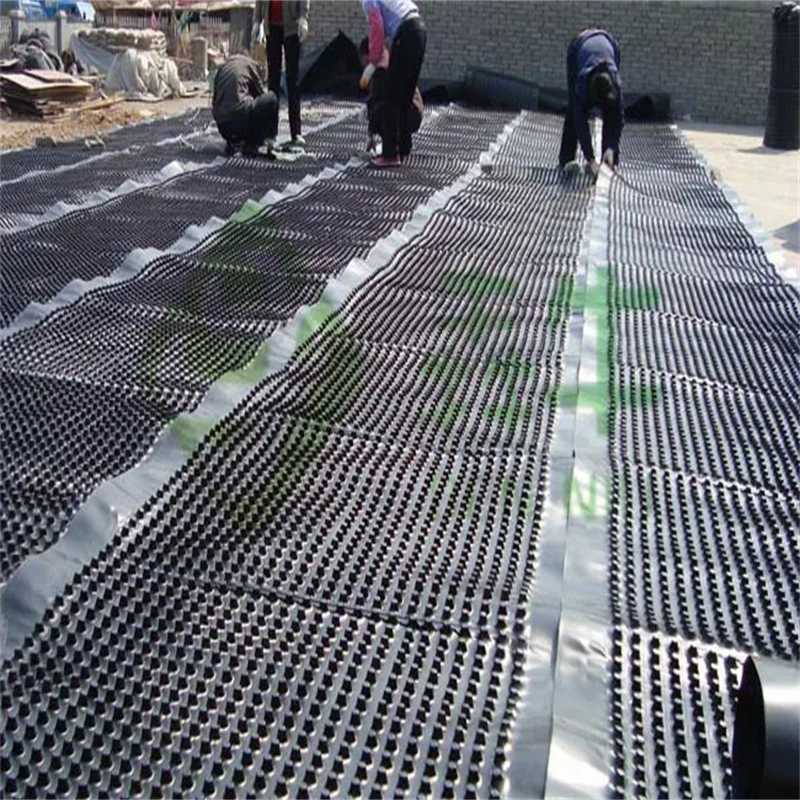 পিভিসি ছিদ্রযুক্ত ডিম্পল ড্রেনেজ বোর্ড গ্রীনিং প্রকল্প 15