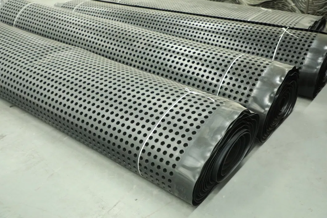 পিভিসি ছিদ্রযুক্ত ডিম্পল ড্রেনেজ বোর্ড গ্রীনিং প্রকল্প 18