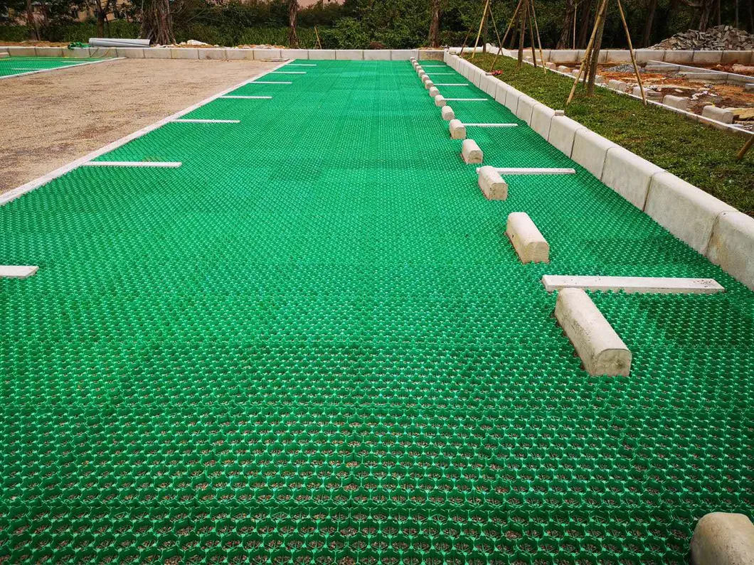প্লাস্টিকের ঘাস গ্রিড Pavers এইচডিপিই প্লাস্টিকের ঘাস গ্রিড গ্রাস Pavers পার্কিং গার্ডেন মধ্যে 9