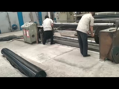 স্থল শক্তিশালীকরণ হাইওয়েগুলির জন্য ইস্পাত-প্লাস্টিকের জিওগ্রিড