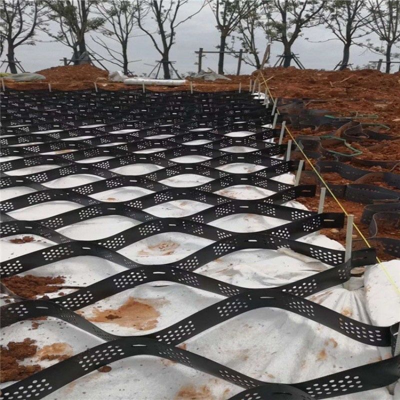ব্ল্যাক গ্রেভ স্ট্যাবিলাইজার গ্রিড গ্রাউন্ড এইচডিপিই জিওসেল কারখানা ড্রাইভওয়ে সমর্থন দেয়ালের জন্য গ্রেভ স্ট্যাবিলাইজার