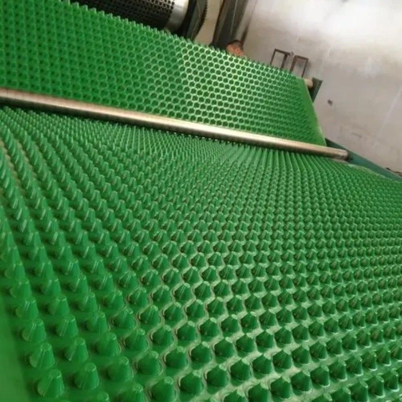 পিভিসি ছিদ্রযুক্ত ডিম্পল ড্রেনেজ বোর্ড গ্রীনিং প্রকল্প