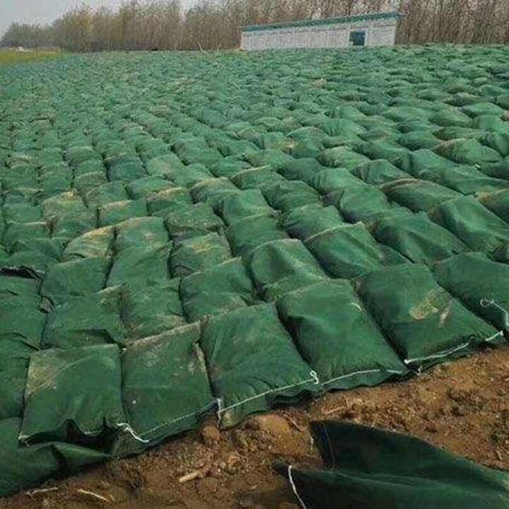 প্রিমিয়াম এনভায়রনমেন্টাল জিওটেক্সটাইল জিওব্যাগ পিপি পিট নন বোনা জিওটেক্সটাইল বোনা ফ্যাব্রিক হোয়াইট কালার জিওটেক্সটাইল জিওব্যাগ
