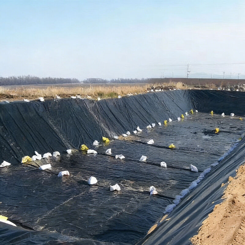 100% Virgin 1.5 mm 1mm Construction Material Reservoir Engineering Geosynthetic Plastic Fish Pond Lining Liner Sheet Waterproof HDPE Geomembrane Pond liner