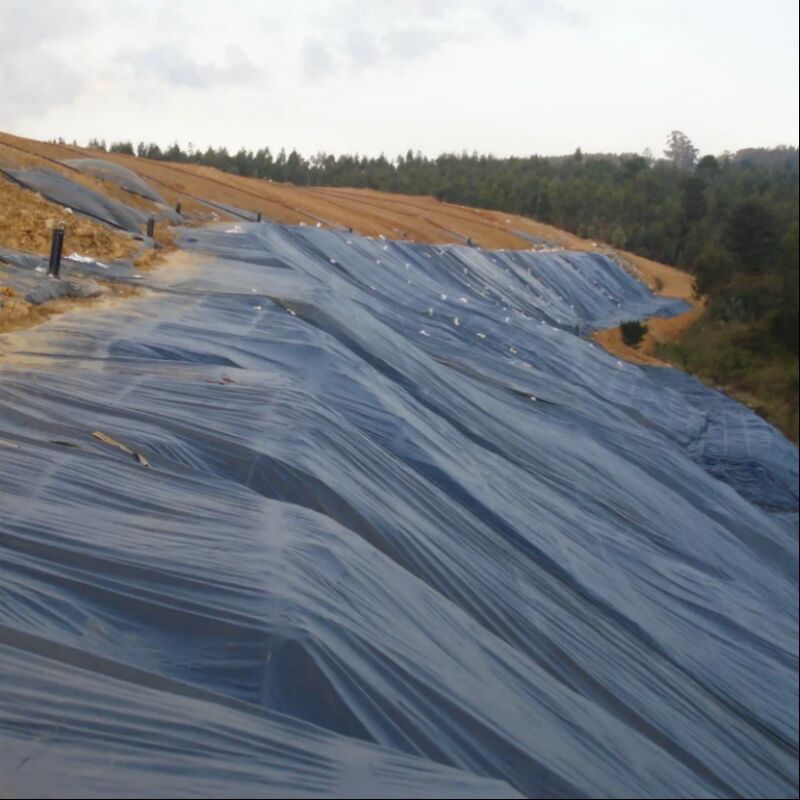 জলরোধী মসৃণ পৃষ্ঠ কৃষি পুকুরের আস্তরণ মাছ শ্যাম্পু চাষ কৃত্রিম হ্রদ ল্যান্ডফিল্ড এইচডিপিই জিওমেমব্রেন